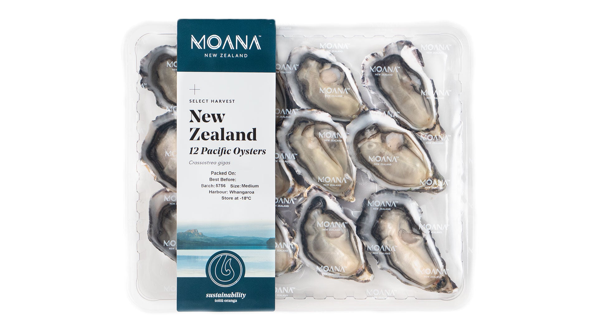 Pacific oyster pack - Medium grade