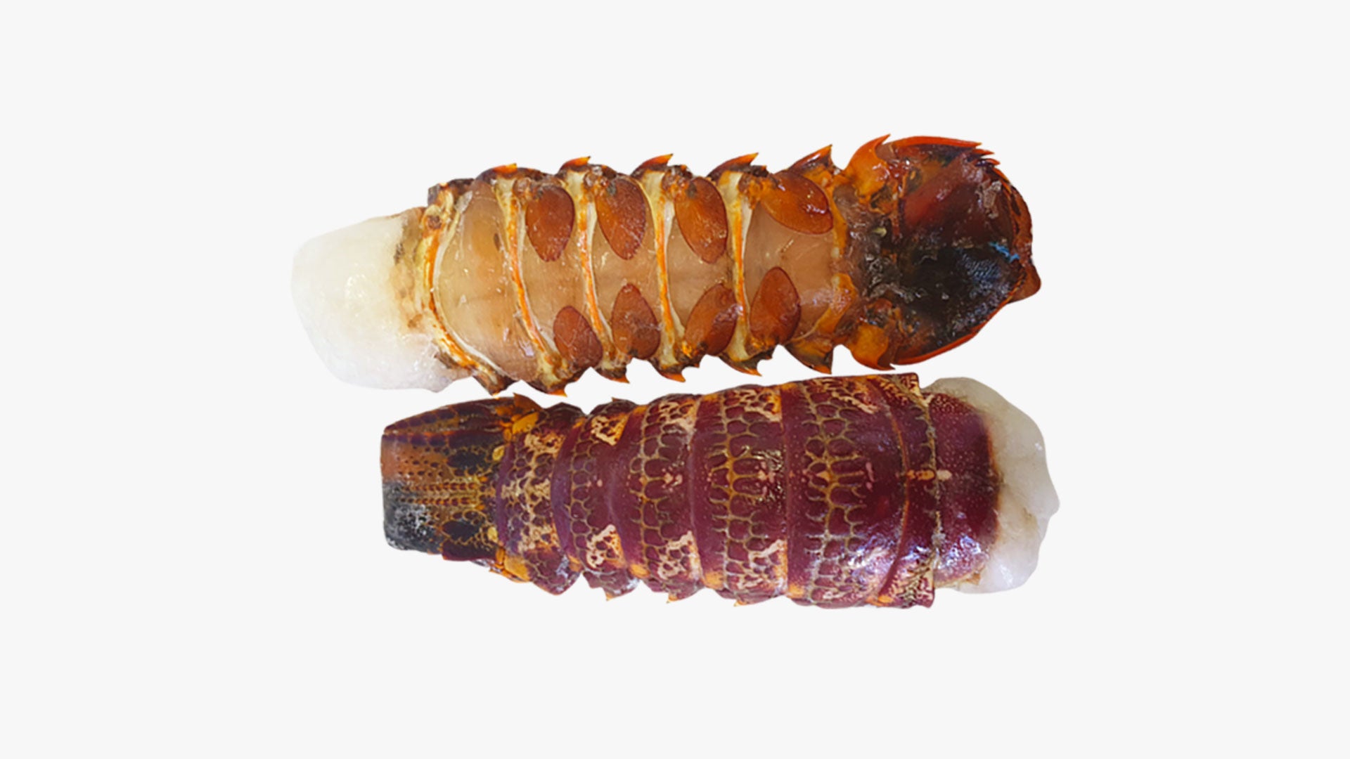 Crayfish tail