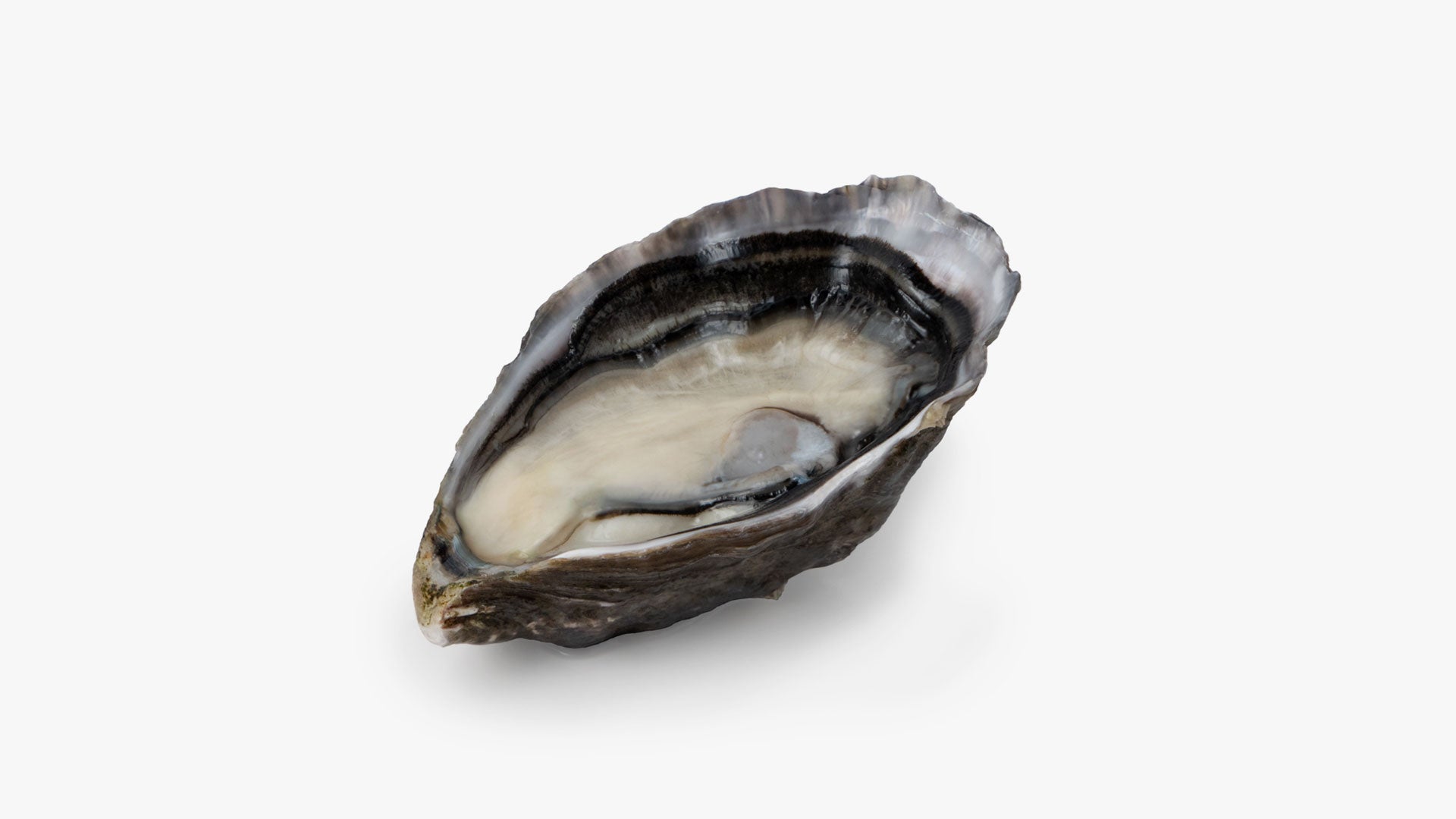 Pacific oyster pack - Medium grade